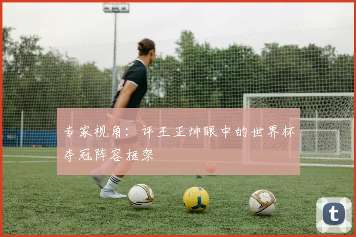 专家视角：评王正坤眼中的世界杯夺冠阵容框架