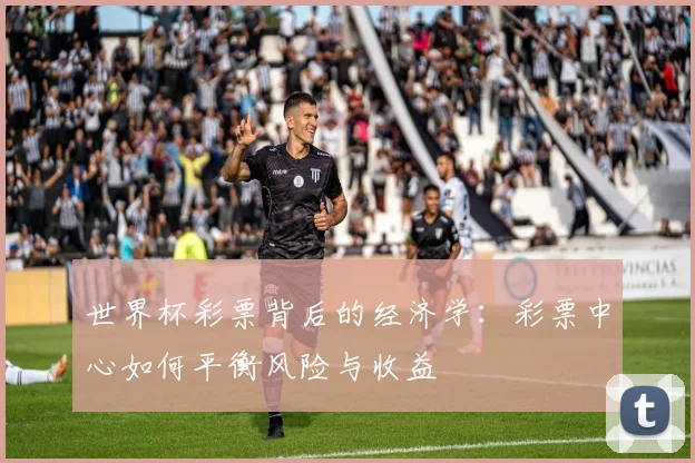 世界杯彩票背后的经济学：彩票中心如何平衡风险与收益