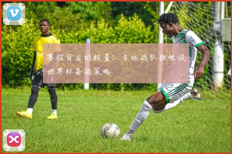 赛程背后的较量：专访战队教练谈世界杯备战策略