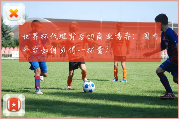 世界杯代理背后的商业博弈：国内平台如何分得一杯羹？