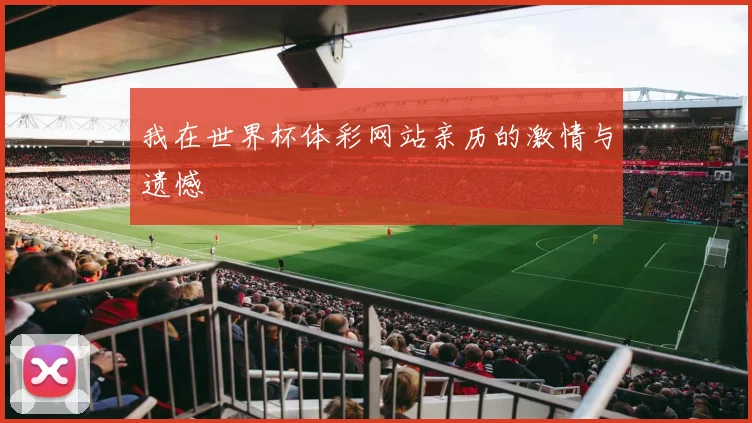 我在世界杯体彩网站亲历的激情与遗憾