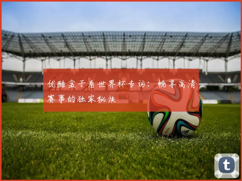 优酷盒子看世界杯专访：畅享高清赛事的独家秘诀