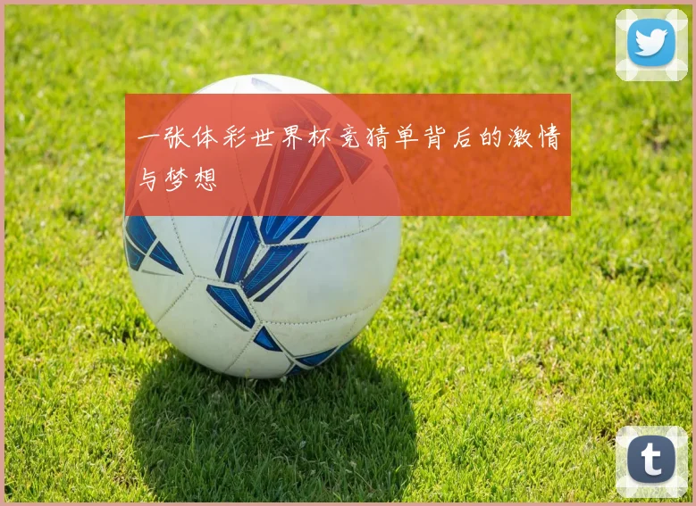 一张体彩世界杯竞猜单背后的激情与梦想