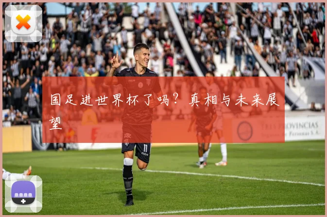 国足进世界杯了吗？真相与未来展望
