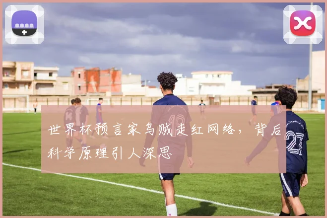 世界杯预言家乌贼走红网络，背后科学原理引人深思