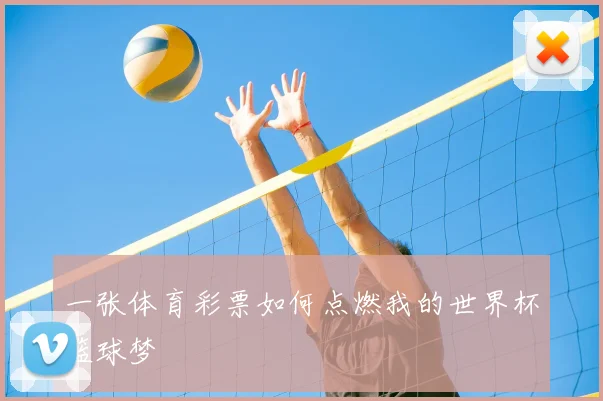 一张体育彩票如何点燃我的世界杯篮球梦