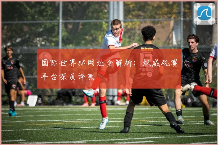 国际世界杯网址全解析：权威观赛平台深度评测