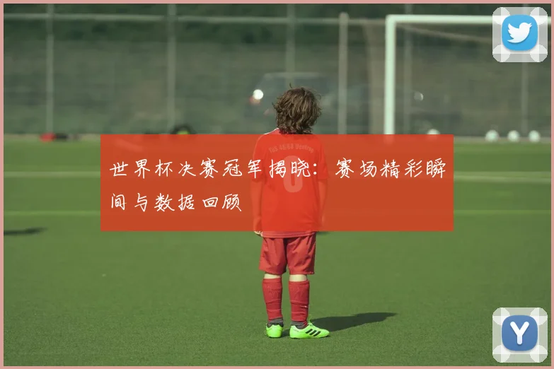 世界杯决赛冠军揭晓:赛场精彩瞬间与数据回顾