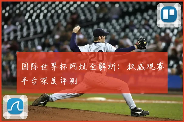 国际世界杯网址全解析：权威观赛平台深度评测