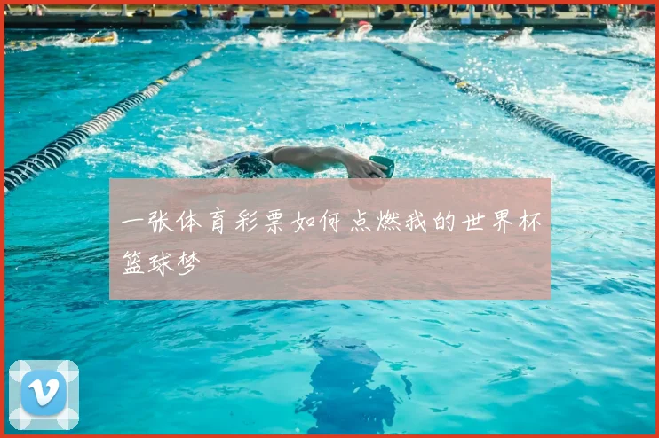 一张体育彩票如何点燃我的世界杯篮球梦