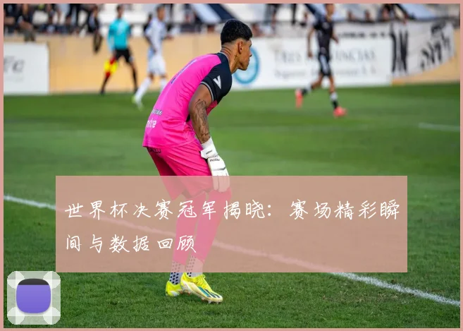 世界杯决赛冠军揭晓:赛场精彩瞬间与数据回顾