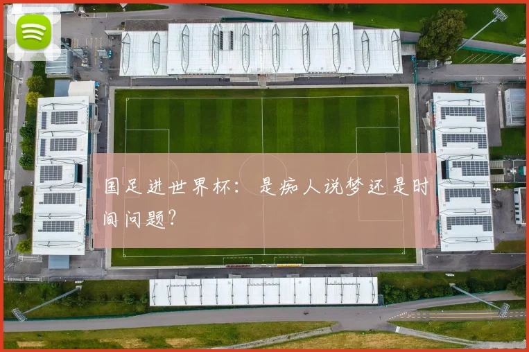 国足进世界杯：是痴人说梦还是时间问题？